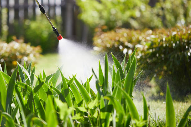 Tamper-Resistant Bait Stations for Rodents in Spring Grove