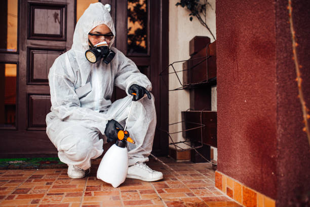 Attic and Crawl Space Rodent Treatment in Spring Grove